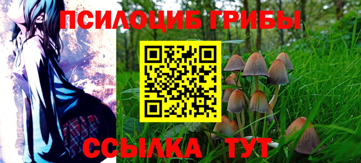 Псилоцибиновые грибы MAGIC MUSHROOMS  Галлюциногенные грибы Psilocybe  продажа наркотиков  Вышний Волочёк  Вход с VPN 